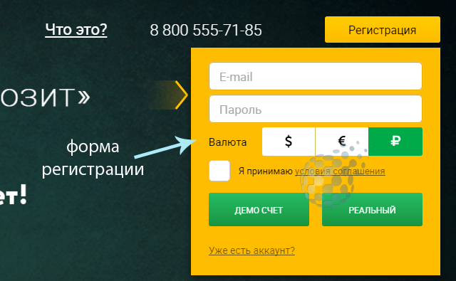 Демо в онлайн режиме от Биномо
